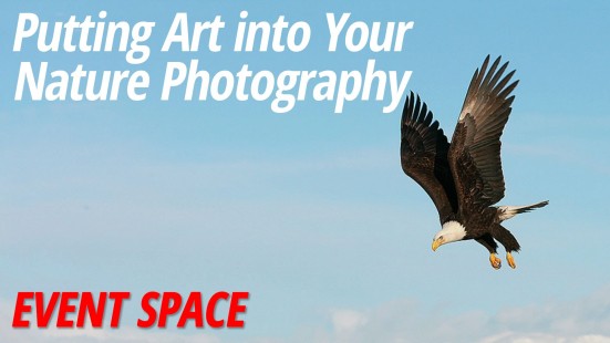 Putting Art Into Your Nature Photography