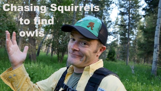 Chasing Squirrels With Steve Mattheis