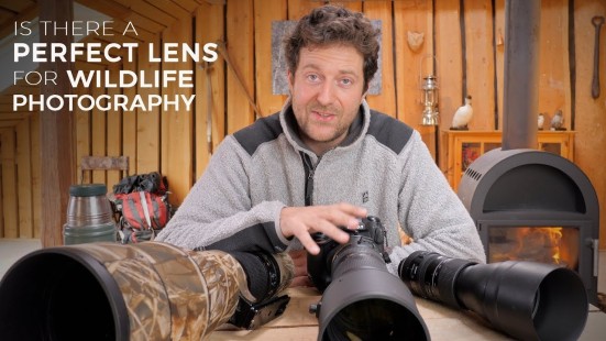 Wildlife Lenses