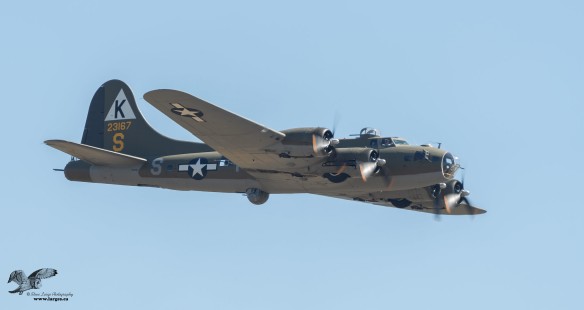 Bristling With Guns (Boeing B-17 Flying Fortress)