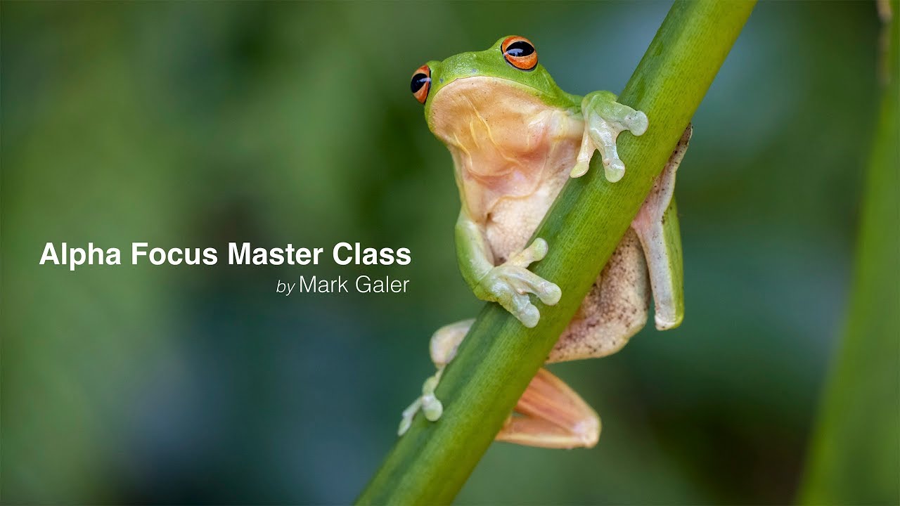 Sony Alpha Master Class