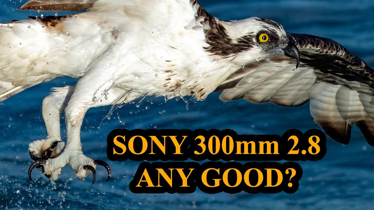 Mark Smith Sony 300mm F/2.8 Review