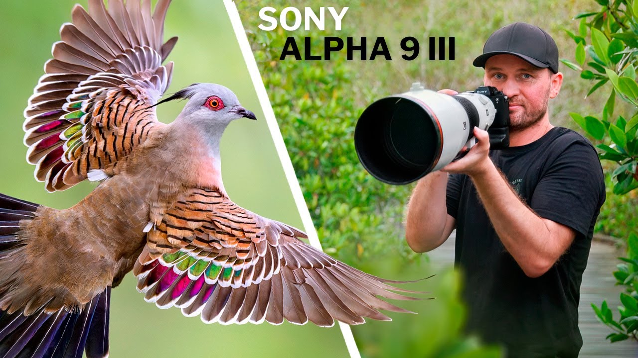 Jan Wegener, Alpha 9 III Review